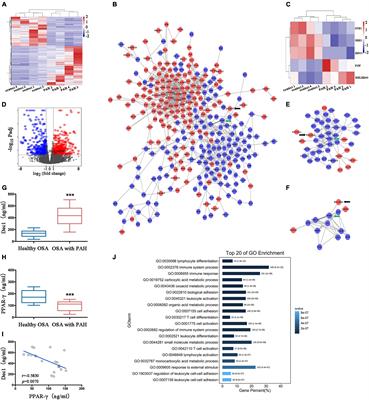 Endothelial Dec1-PPARγ Axis Impairs Proliferation and Apoptosis Homeostasis Under Hypoxia in Pulmonary Arterial Hypertension